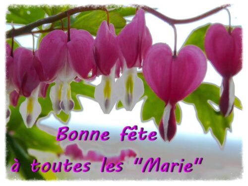 dédicace à marie claude